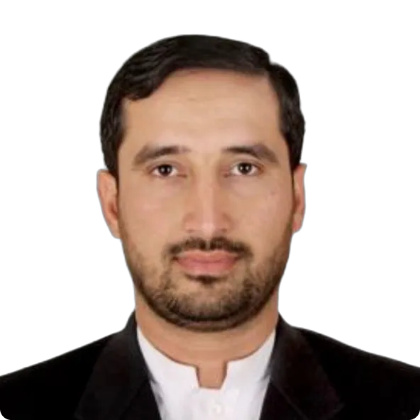 Portrait of Sultan Wali Shinwari
